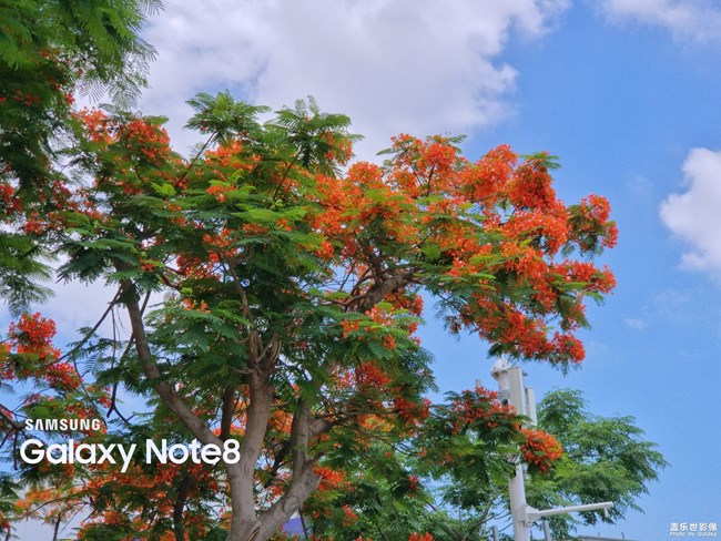 【第101期：三星Galaxy A9 Star | A9 Star Lite 正式發(fā)布】