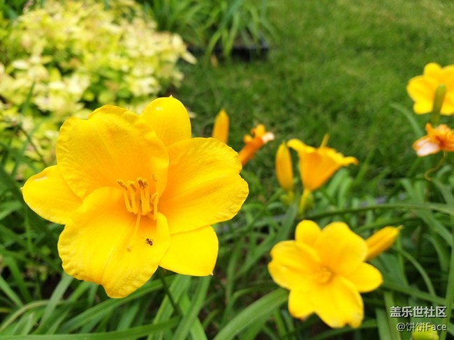 全宇宙首發(fā)！三星Galaxy A9 Star | A9 Star Lite新品評(píng)測(cè)