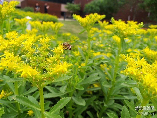 全宇宙首發(fā)！三星Galaxy A9 Star | A9 Star Lite新品評(píng)測(cè)