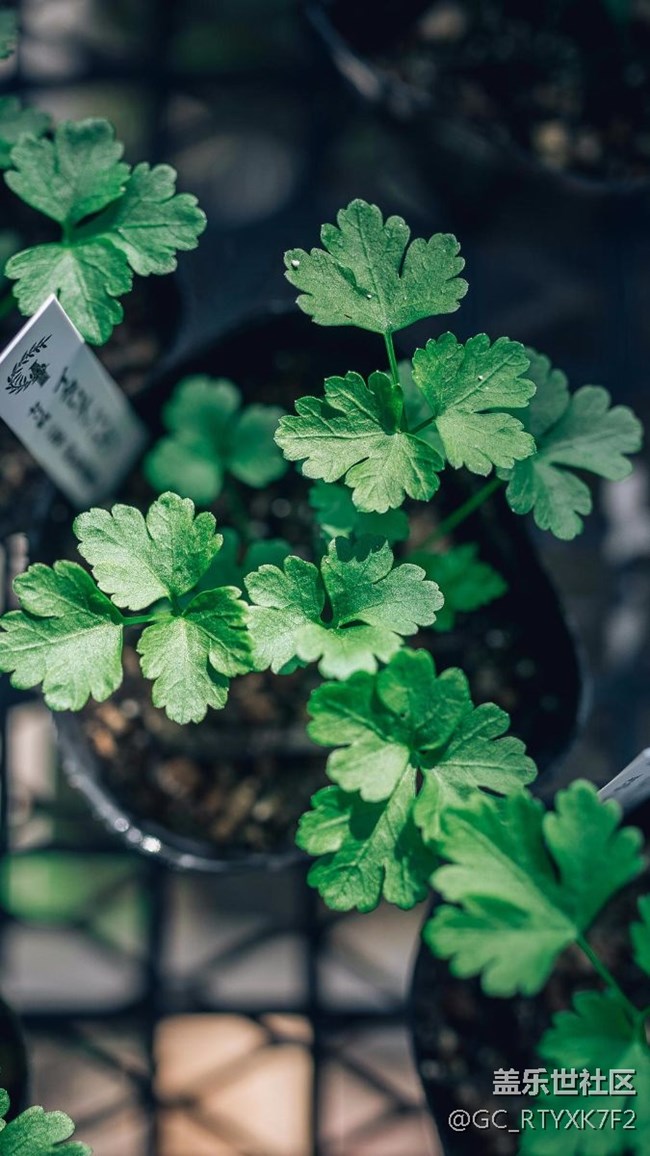 有刷第三方rom的嗎？談下感受