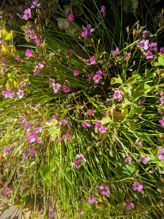 Note 8 拍照  字?jǐn)?shù)補(bǔ)丁