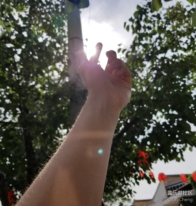 人像模式與太陽的接觸