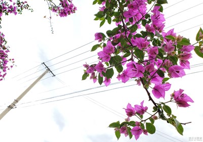 中國最美瞬間+大理印象之廣袤華夏