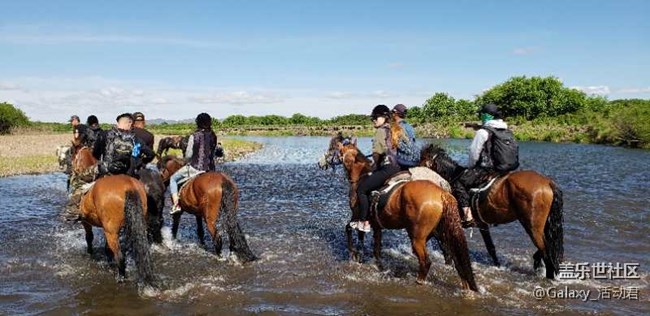 【中國最美瞬間】呼倫貝爾站活動回顧