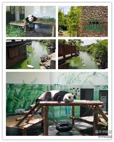 【回顧】長(zhǎng)沙星部落游玩活動(dòng)—《長(zhǎng)沙生態(tài)動(dòng)物園》 【回顧】長(zhǎng)沙星部落游玩活動(dòng)—《長(zhǎng)沙生態(tài)動(dòng)物園》