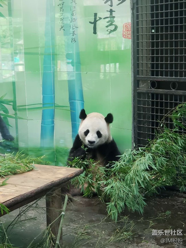 記長沙動(dòng)物園游——長沙星部落活動(dòng)