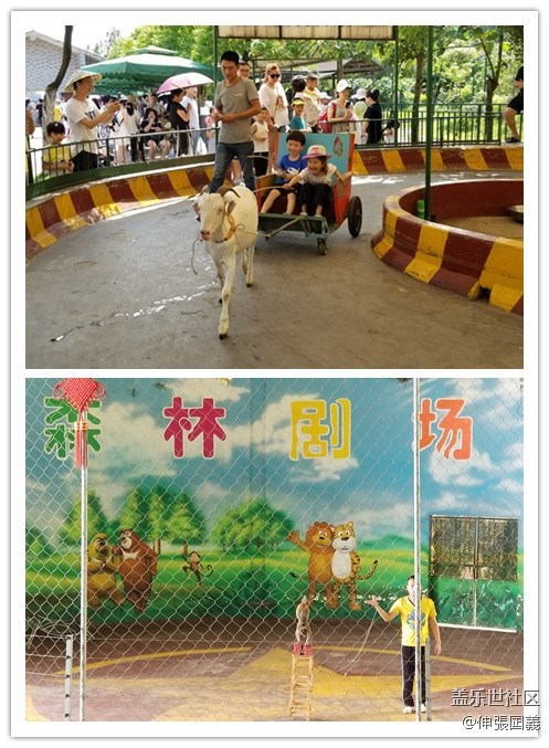 【回顧】長(zhǎng)沙星部落游玩活動(dòng)—《長(zhǎng)沙生態(tài)動(dòng)物園》 【回顧】長(zhǎng)沙星部落游玩活動(dòng)—《長(zhǎng)沙生態(tài)動(dòng)物園》