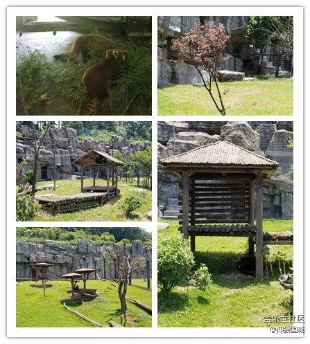 【回顧】長(zhǎng)沙星部落游玩活動(dòng)—《長(zhǎng)沙生態(tài)動(dòng)物園》 【回顧】長(zhǎng)沙星部落游玩活動(dòng)—《長(zhǎng)沙生態(tài)動(dòng)物園》