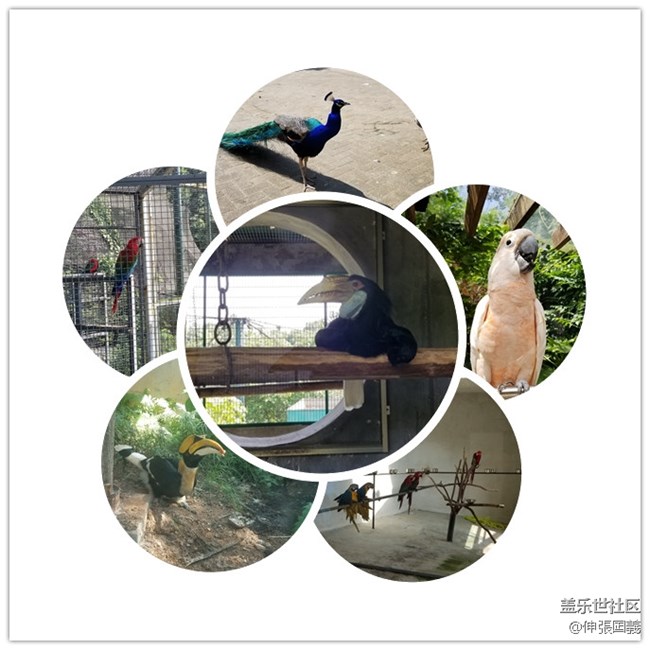 【回顧】長(zhǎng)沙星部落游玩活動(dòng)—《長(zhǎng)沙生態(tài)動(dòng)物園》 【回顧】長(zhǎng)沙星部落游玩活動(dòng)—《長(zhǎng)沙生態(tài)動(dòng)物園》