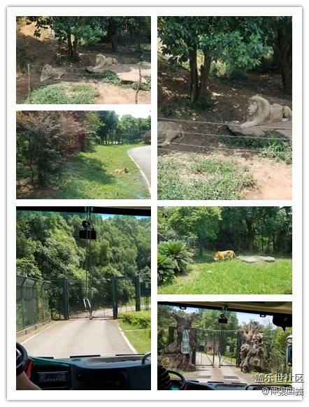 【回顧】長(zhǎng)沙星部落游玩活動(dòng)—《長(zhǎng)沙生態(tài)動(dòng)物園》 【回顧】長(zhǎng)沙星部落游玩活動(dòng)—《長(zhǎng)沙生態(tài)動(dòng)物園》