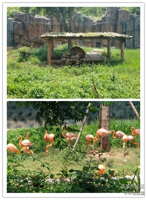 【回顧】長(zhǎng)沙星部落游玩活動(dòng)—《長(zhǎng)沙生態(tài)動(dòng)物園》 【回顧】長(zhǎng)沙星部落游玩活動(dòng)—《長(zhǎng)沙生態(tài)動(dòng)物園》