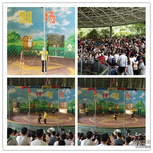 【回顧】長(zhǎng)沙星部落游玩活動(dòng)—《長(zhǎng)沙生態(tài)動(dòng)物園》 【回顧】長(zhǎng)沙星部落游玩活動(dòng)—《長(zhǎng)沙生態(tài)動(dòng)物園》