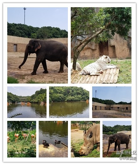 【回顧】長(zhǎng)沙星部落游玩活動(dòng)—《長(zhǎng)沙生態(tài)動(dòng)物園》 【回顧】長(zhǎng)沙星部落游玩活動(dòng)—《長(zhǎng)沙生態(tài)動(dòng)物園》