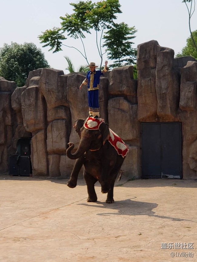 記長沙動(dòng)物園游——長沙星部落活動(dòng)