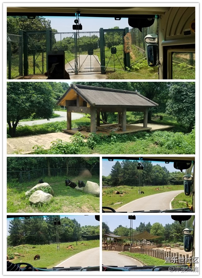 【回顧】長(zhǎng)沙星部落游玩活動(dòng)—《長(zhǎng)沙生態(tài)動(dòng)物園》 【回顧】長(zhǎng)沙星部落游玩活動(dòng)—《長(zhǎng)沙生態(tài)動(dòng)物園》