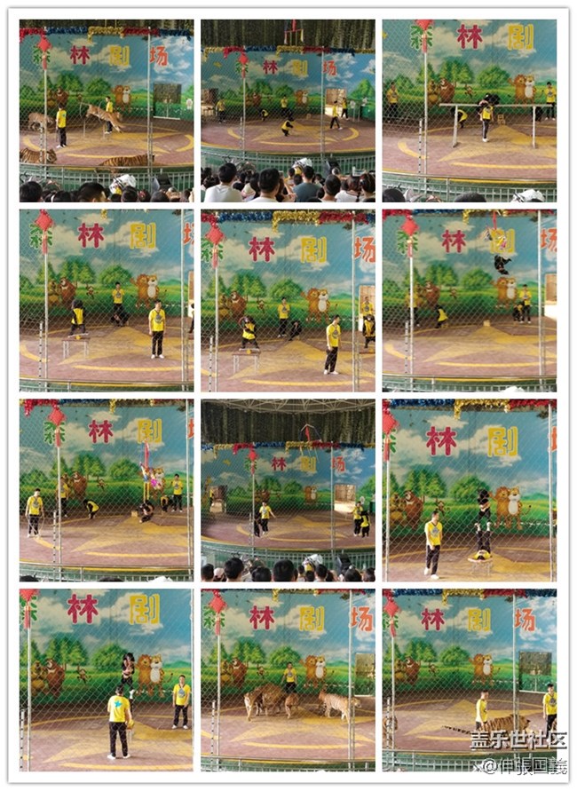 【回顧】長(zhǎng)沙星部落游玩活動(dòng)—《長(zhǎng)沙生態(tài)動(dòng)物園》 【回顧】長(zhǎng)沙星部落游玩活動(dòng)—《長(zhǎng)沙生態(tài)動(dòng)物園》