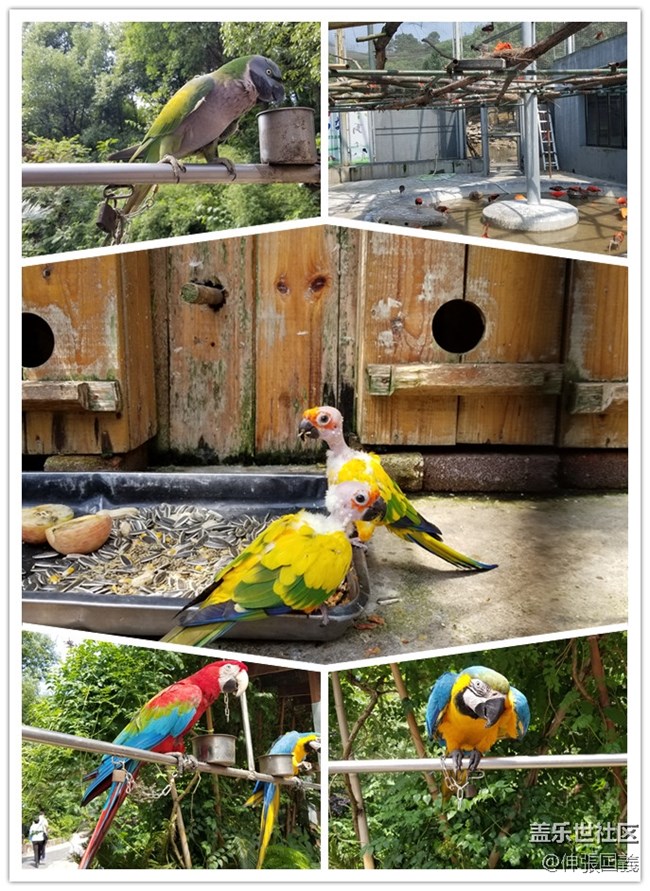 【回顧】長(zhǎng)沙星部落游玩活動(dòng)—《長(zhǎng)沙生態(tài)動(dòng)物園》 【回顧】長(zhǎng)沙星部落游玩活動(dòng)—《長(zhǎng)沙生態(tài)動(dòng)物園》