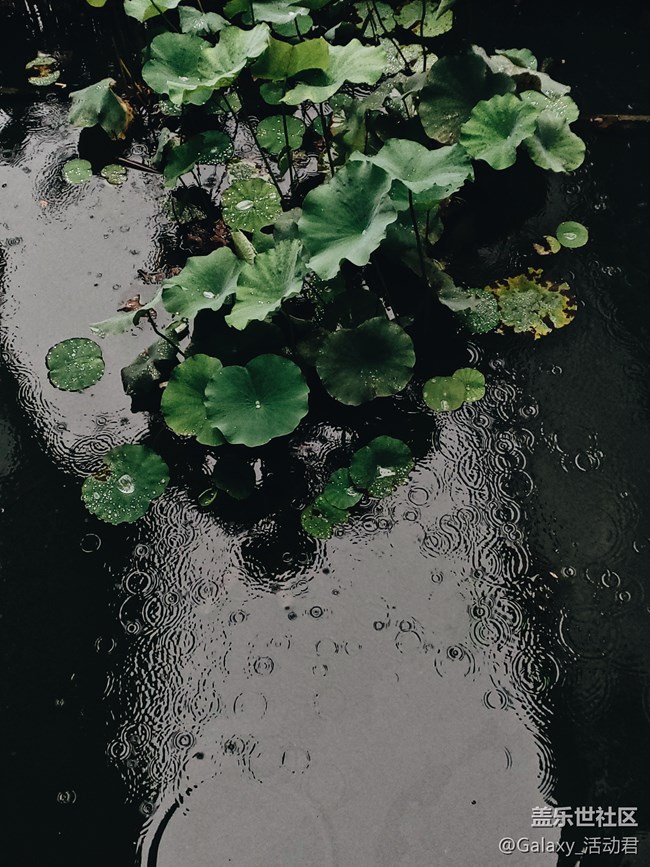 最美攝影課堂：蘇州漫影，快來pick林海音獨家攝影秘方