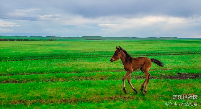 最美攝影課堂：掌握構(gòu)圖用光技巧，王坤教你玩轉(zhuǎn)手機(jī)攝影！