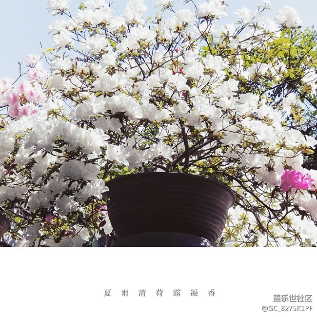 大愛三星的相機(jī)