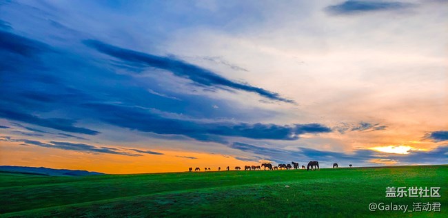 最美攝影課堂：掌握構(gòu)圖用光技巧，王坤教你玩轉(zhuǎn)手機(jī)攝影！