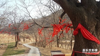 【回憶】+逝去的記憶