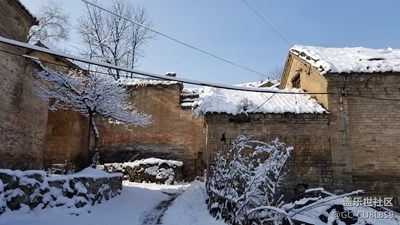 新手隨手拍幾張