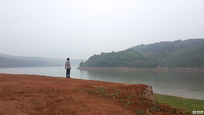 晚上散步隨手拍