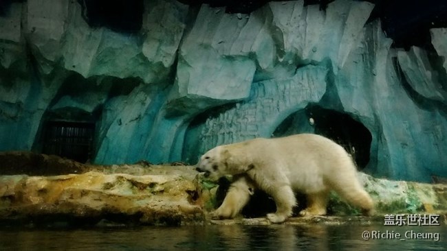 ■休假青島，C9隨拍作業(yè)