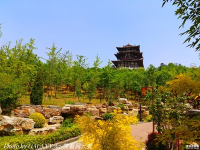 【那些花兒】+龍山腳下百花開