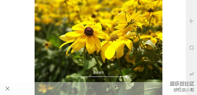Screenshot_20180629-171926_Live focus.jpg 必須給大家安利一下 A9 Star的實(shí)時(shí)虛化功能