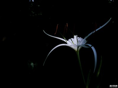 到南沙的街頭走一走