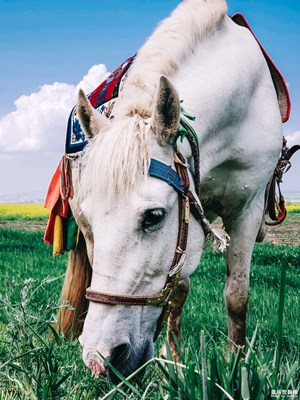 [中國(guó)最美瞬間]+開(kāi)篇：西北沿途所見(jiàn)