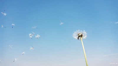 【中國最美瞬間】+藍(lán)與白