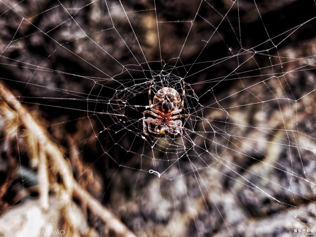 【第105期：距三星Galaxy系列新品發(fā)布 還有一個(gè)月！】