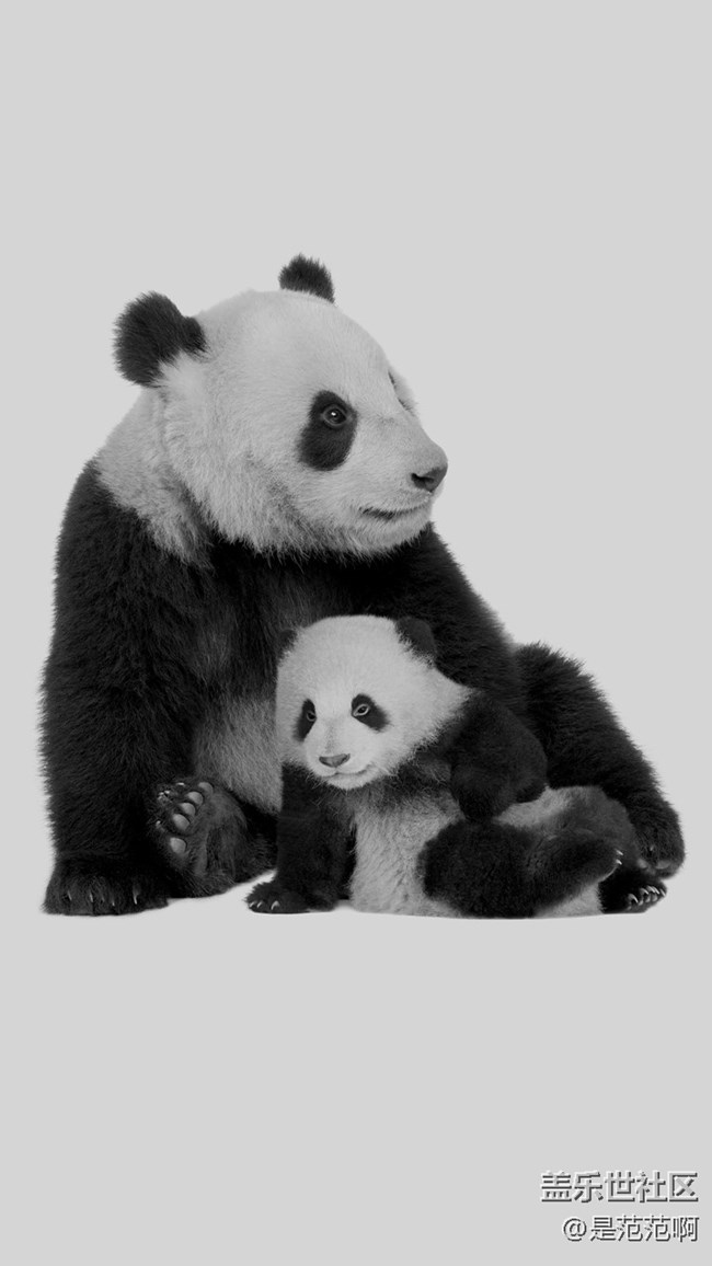 存在于手機(jī)和現(xiàn)實(shí)中的人類的好朋友 存在于手機(jī)和現(xiàn)實(shí)中的人類的好朋友