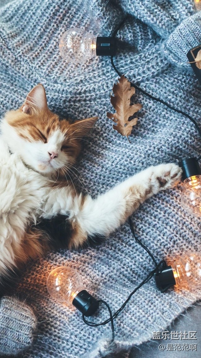 存在于手機(jī)和現(xiàn)實(shí)中的人類的好朋友 存在于手機(jī)和現(xiàn)實(shí)中的人類的好朋友