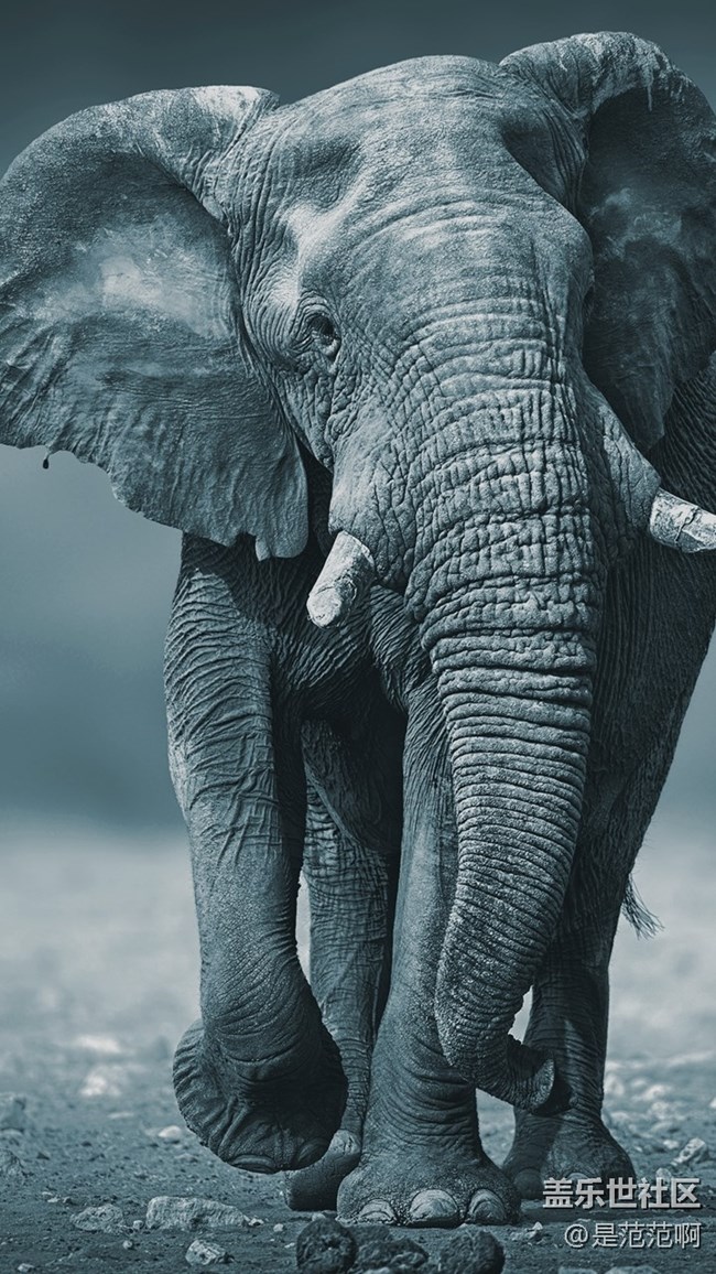 存在于手機(jī)和現(xiàn)實(shí)中的人類的好朋友 存在于手機(jī)和現(xiàn)實(shí)中的人類的好朋友