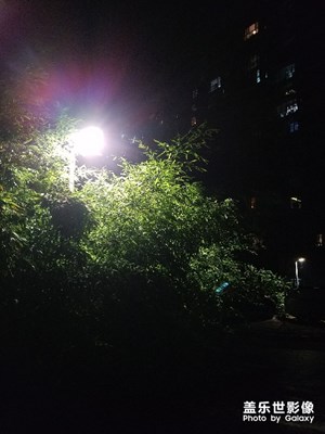 隨手拍的夜景