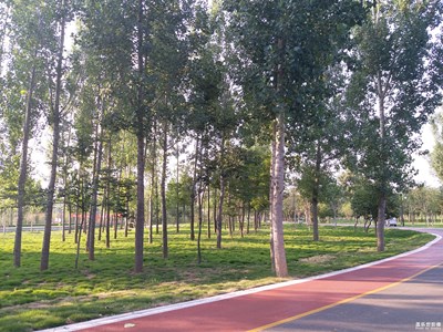 【行走，發(fā)現(xiàn)】+花樣的路