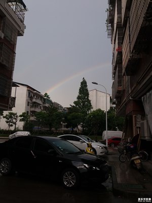 隨手拍