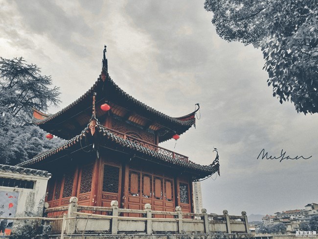 【第106期：三伏天來(lái)襲 各位一定要注意身體喲】