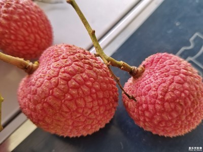 夏天吃水果的季節(jié)