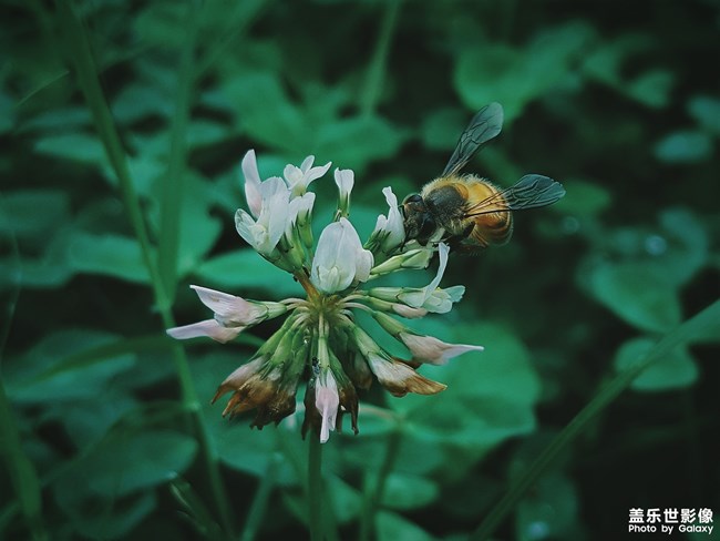 【第106期：三伏天來(lái)襲 各位一定要注意身體喲】