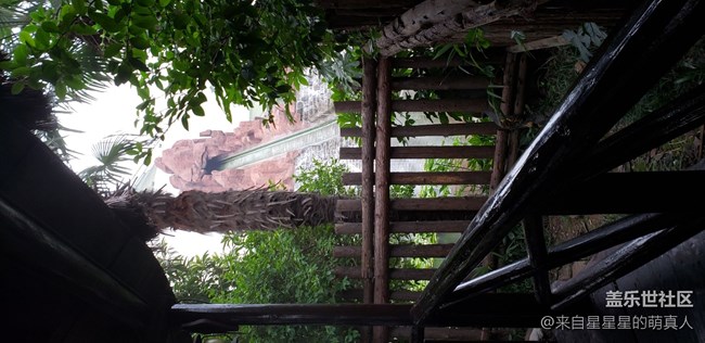 【活動(dòng)回顧】社區(qū)三周歲生日快樂(lè)！