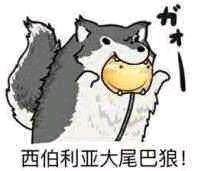 感覺手機(jī)發(fā)熱、卡頓的，可以嘗試以下兩個(gè)版本