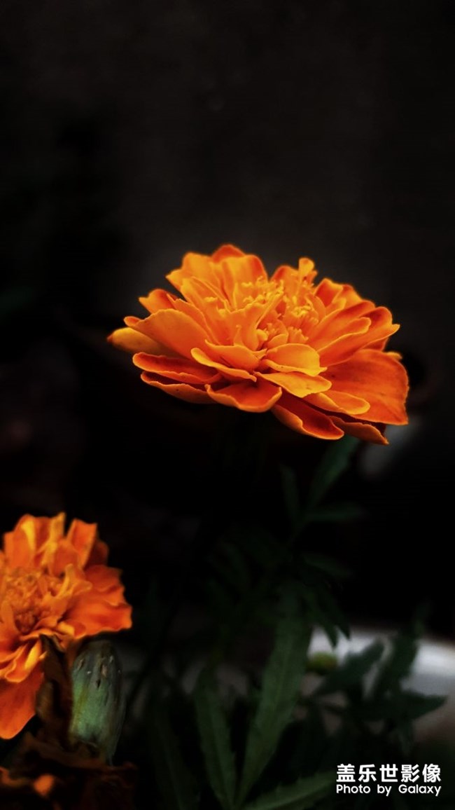 【第106期：三伏天來(lái)襲 各位一定要注意身體喲】