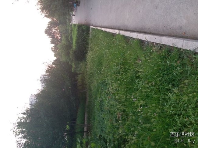 這是不是攝像頭出問題了