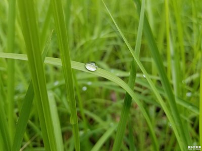 古都西安郊外隨拍