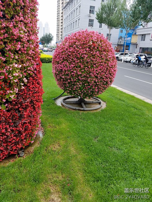花